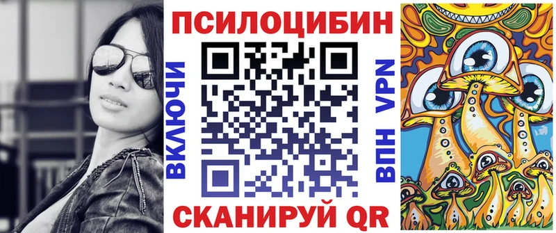 сайты даркнета какой сайт  Щёлкино  Псилоцибиновые грибы Cubensis 