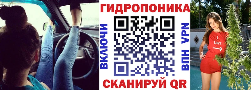 Каннабис сатива  как найти наркотики  Щёлкино 